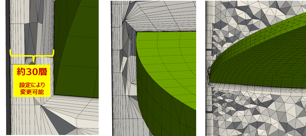 Co1 インデューサ(チップクリアランス領域 拡大)